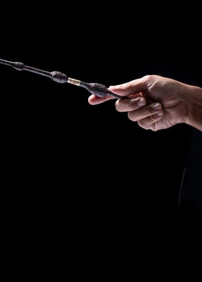 Оркестр Sonorus. Гарри Поттер