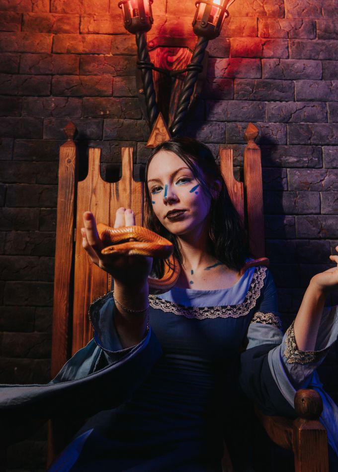 Хижина викинга