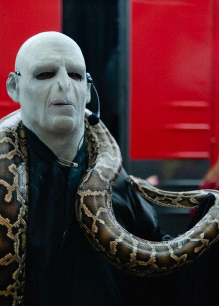 Поезд «Магический экспресс»