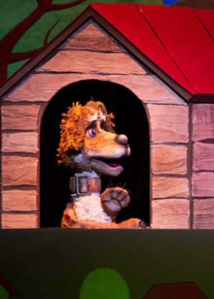 Деревенский пёс Акбай / Авыл эте Акбай