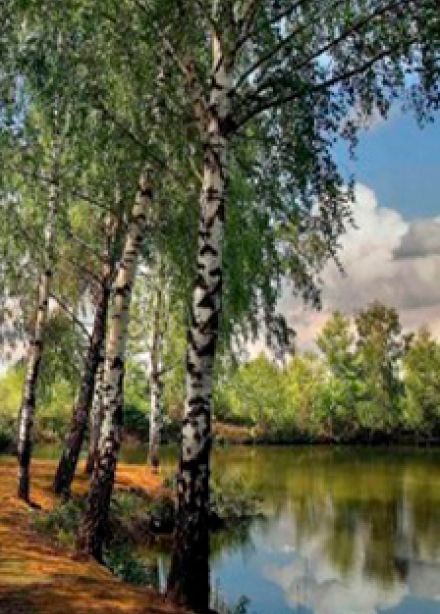 Всему начало здесь, в краю моем родном