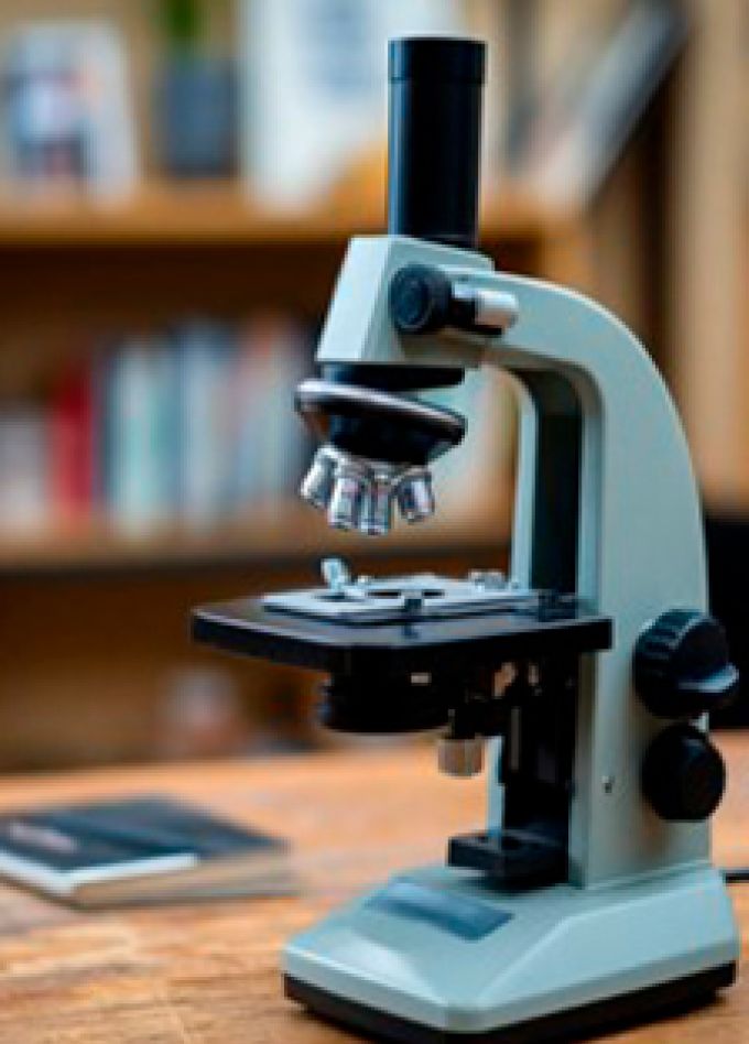 Все обо всем. Брейн-ринг