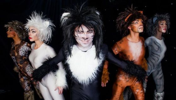 Шоу «12 мюзиклов»