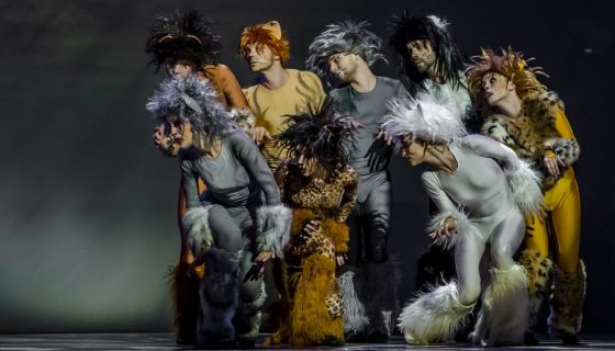 Шоу «12 мюзиклов»