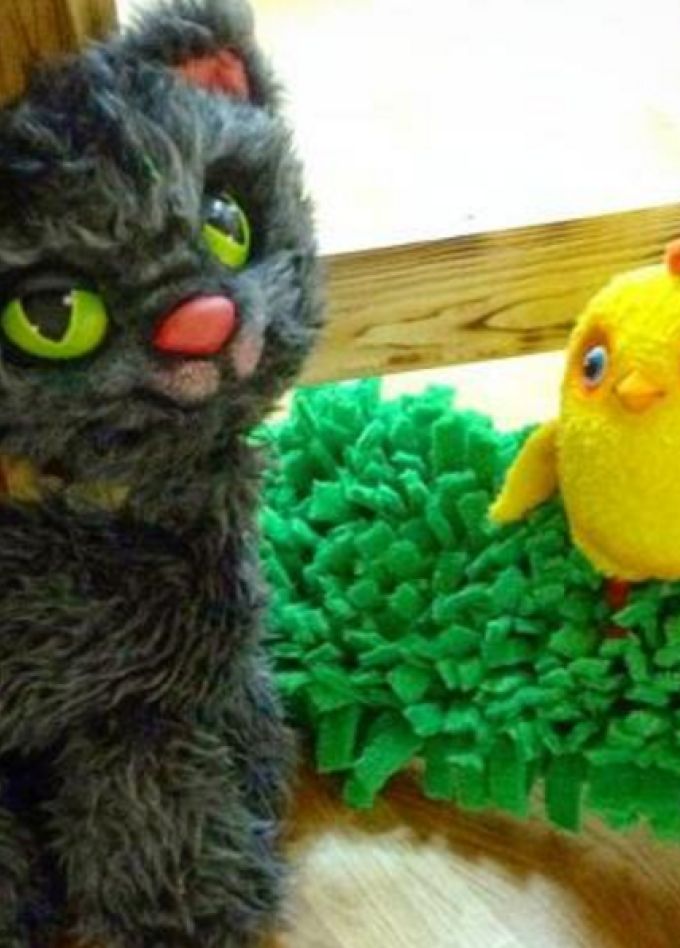 Не хочу, не буду