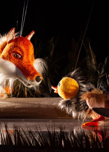 Серая шейка