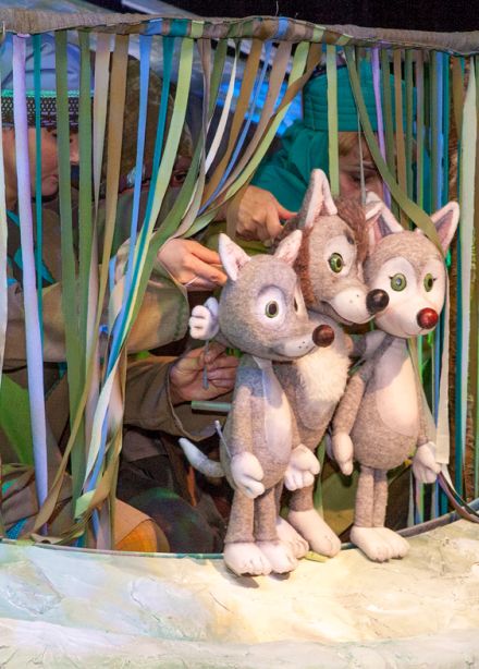 Волчья ягода / Бүре җиләге