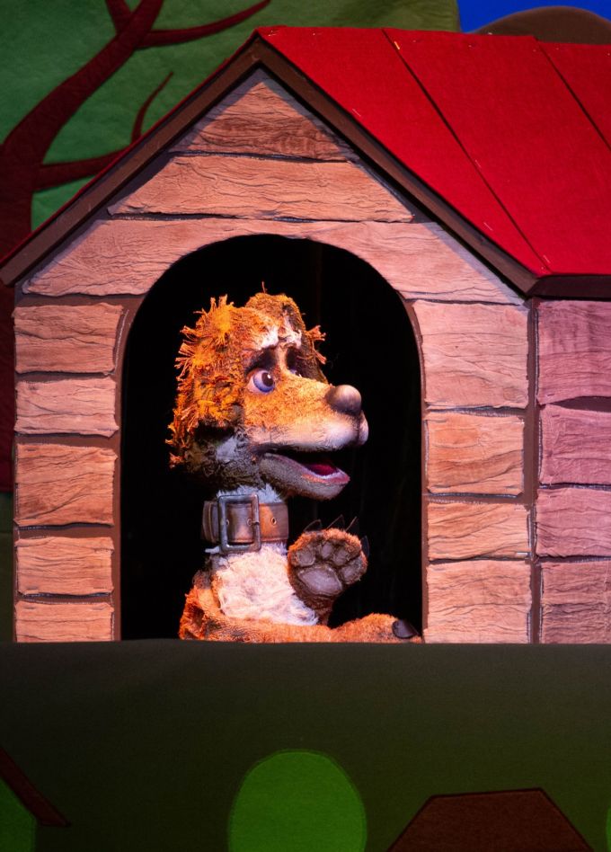 Авыл эте Акбай / Деревенский пёс Акбай