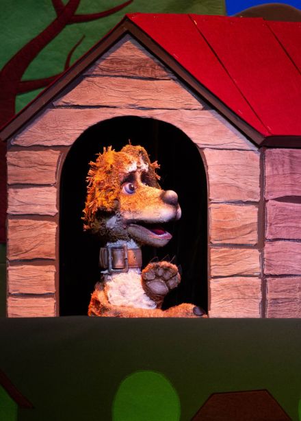 Авыл эте Акбай / Деревенский пёс Акбай