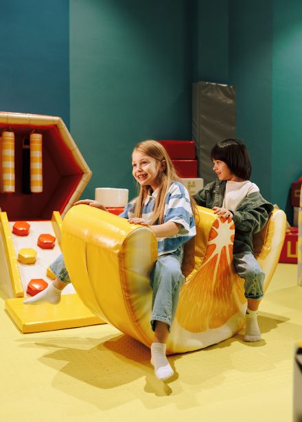 Туристический билет