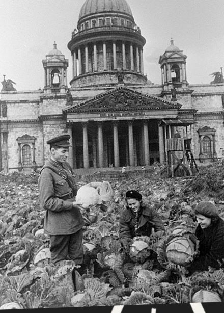 Блокадной памяти страницы