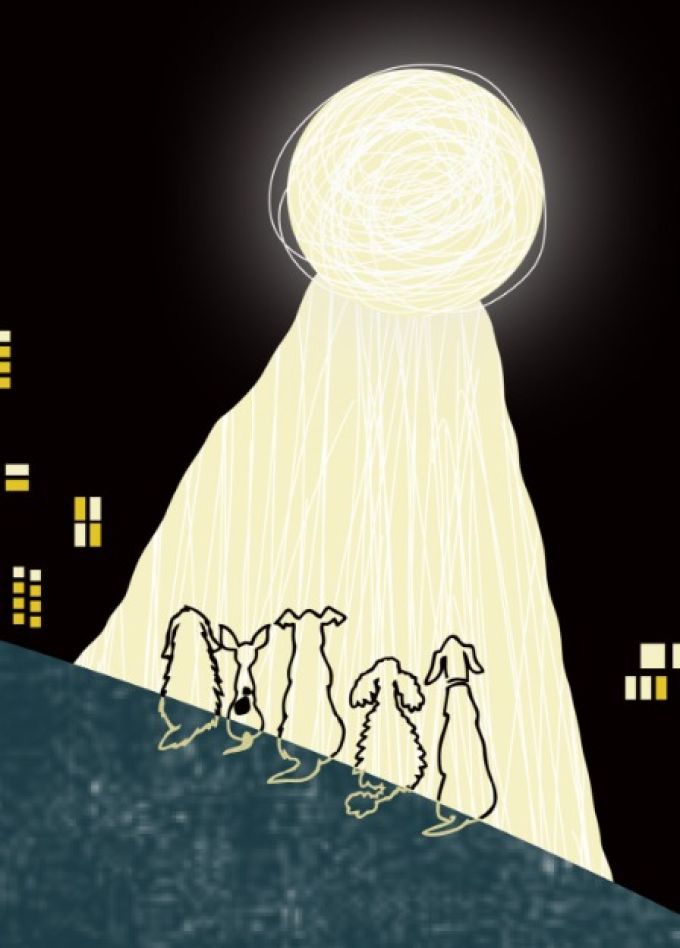 Прощай, овраг! Спектакль по повести Сергиенко