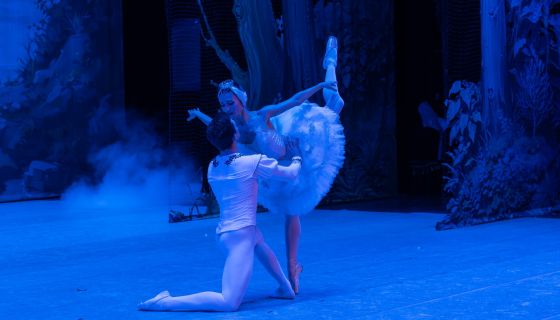 Лето пируэта. Балет «Лебединое озеро»