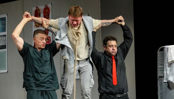 Спектакль «Доктор знает всё»