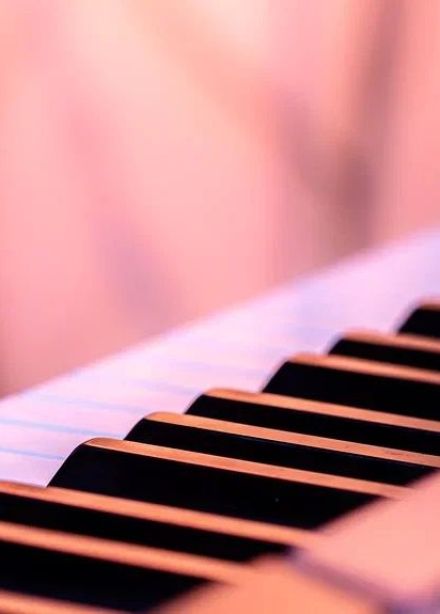 Нескучный квартет + 1