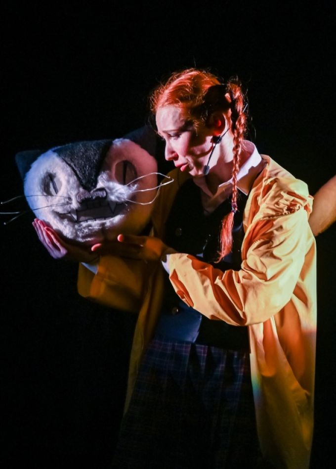 Страна чудес Алисы