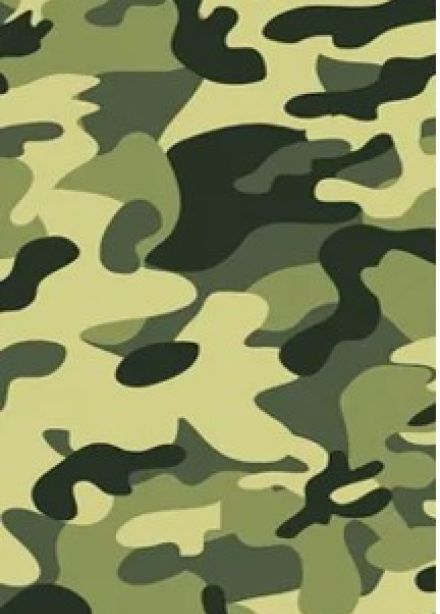 Воевали наши деды. Военно-патриотическая игра