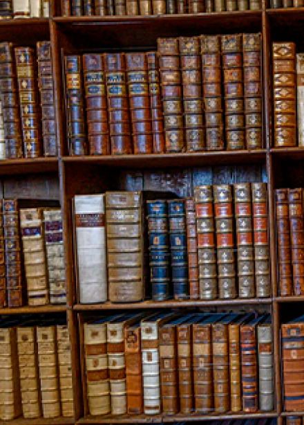 Тайны книжного шкафа