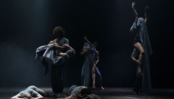 Пластический спектакль «Улей»